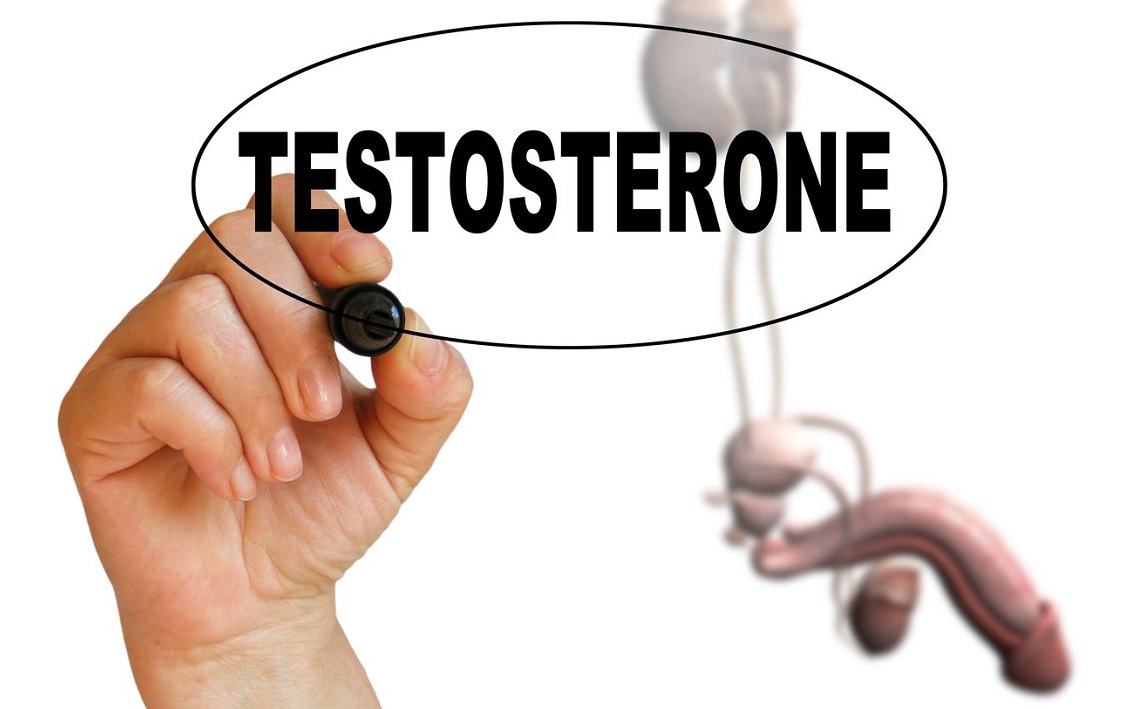 Testosterone|testosteron-bestbody